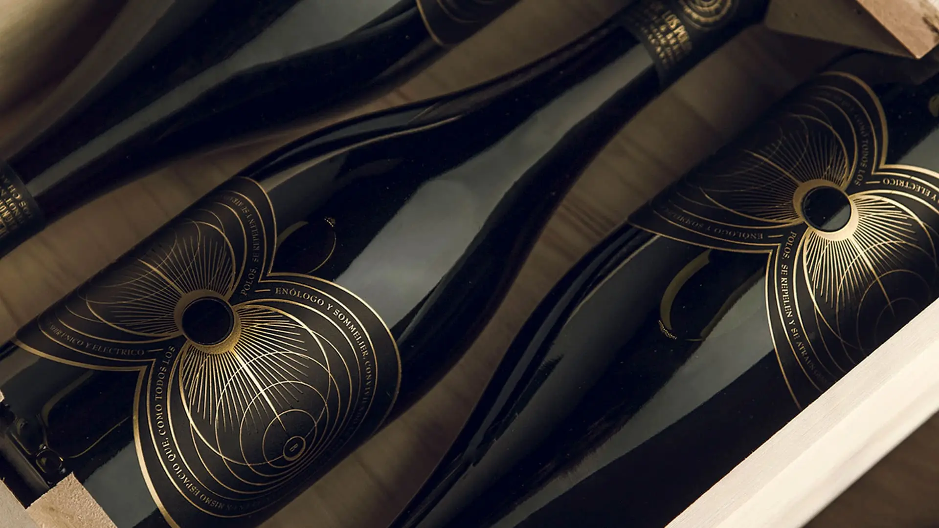 Desde-los-polos-Slide-Nano-Alfonsin